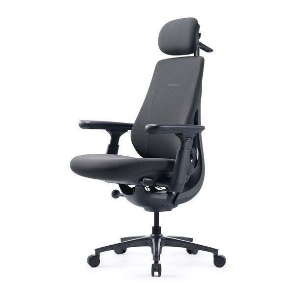 LiberNovo Maxis (Electric) Ergonomic Office Chair, Graphite