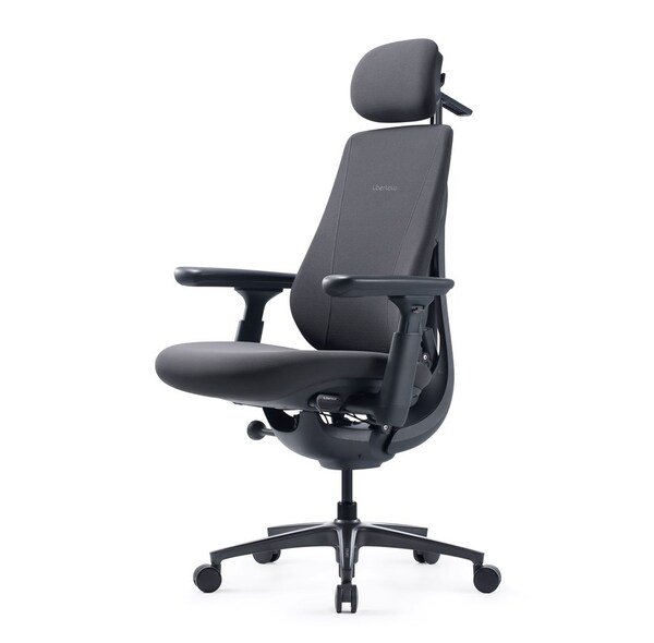 LiberNovo Maxis (Electric) Ergonomic Office Chair, Graphite