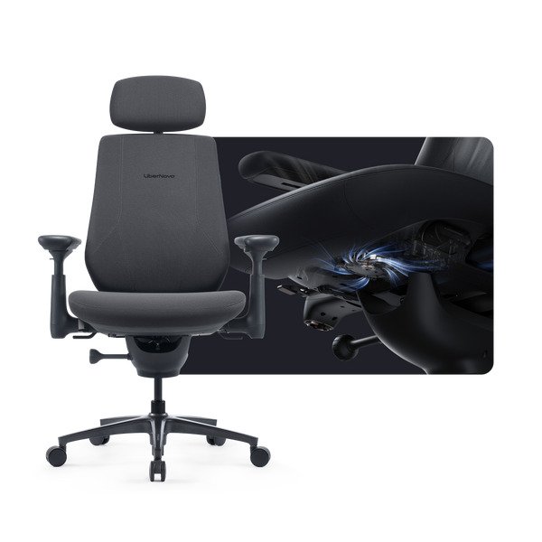 LiberNovo Maxis (Electric) Ergonomic Office Chair, Graphite