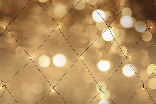 NORDIC HOME LED light net, for indoor/outdoor use, 300 x 200 cm