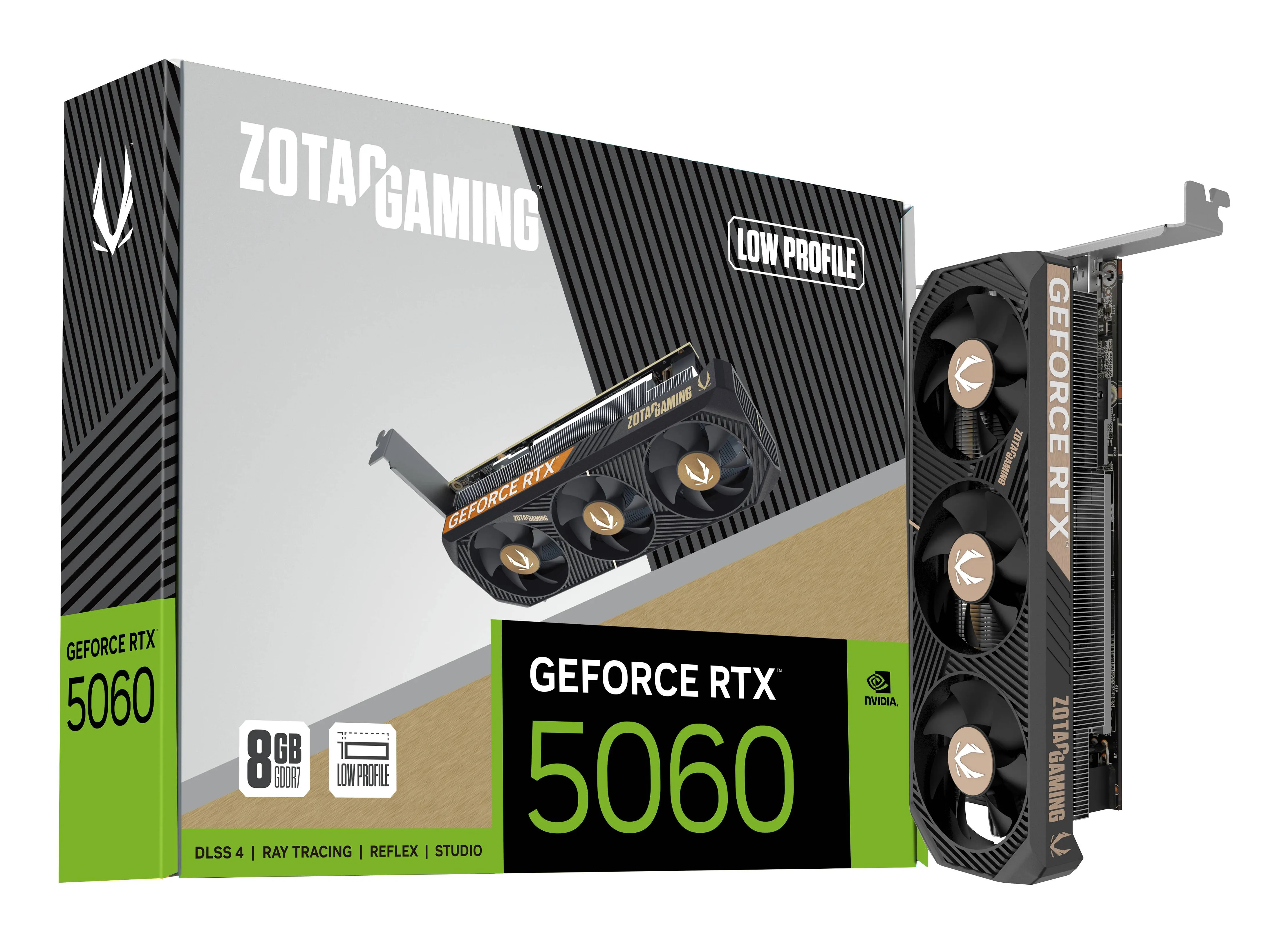 ZOTAC GeForce RTX 5060 Low Profile 8 GB grafikkort