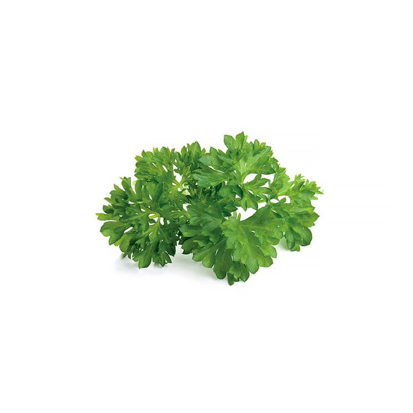 Click and Grow Smart Garden Refill 3-pack - Parsley