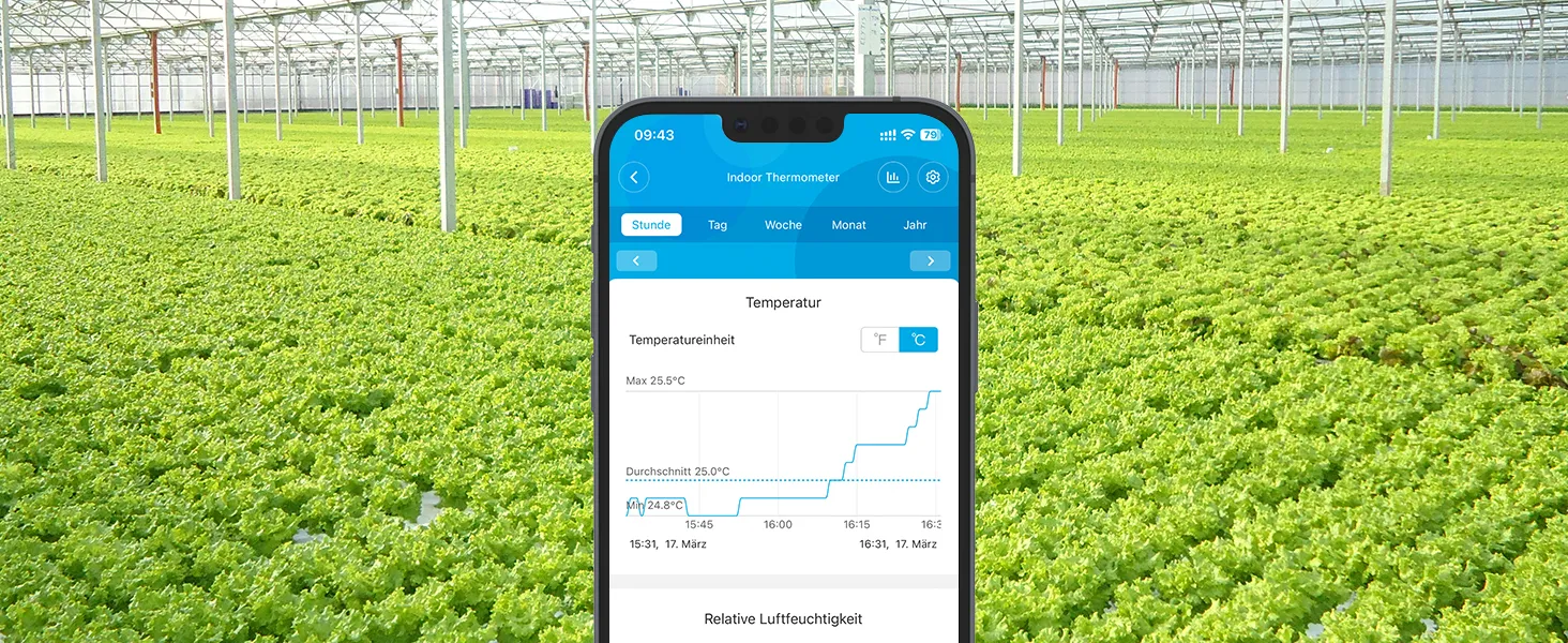 Govee Bluetooth Thermometer Hygrometer with Screen
