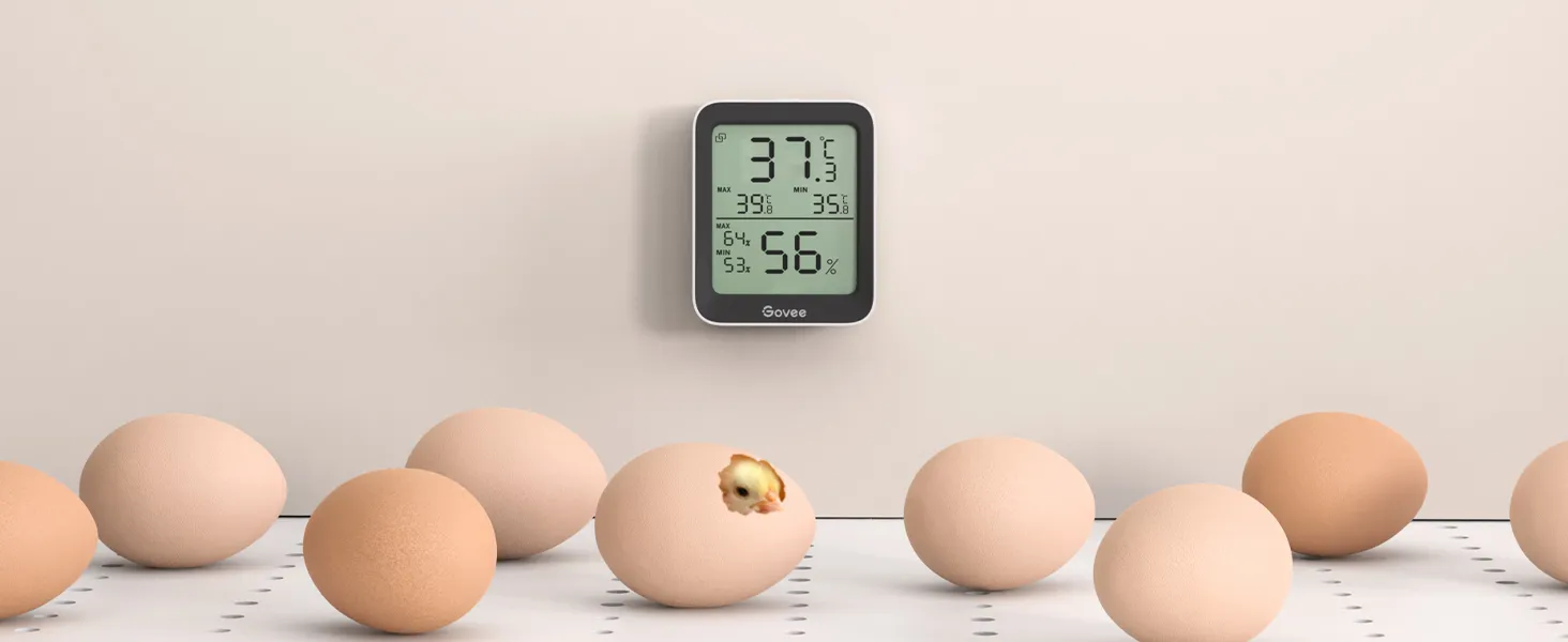 Govee Bluetooth Thermometer Hygrometer with Screen