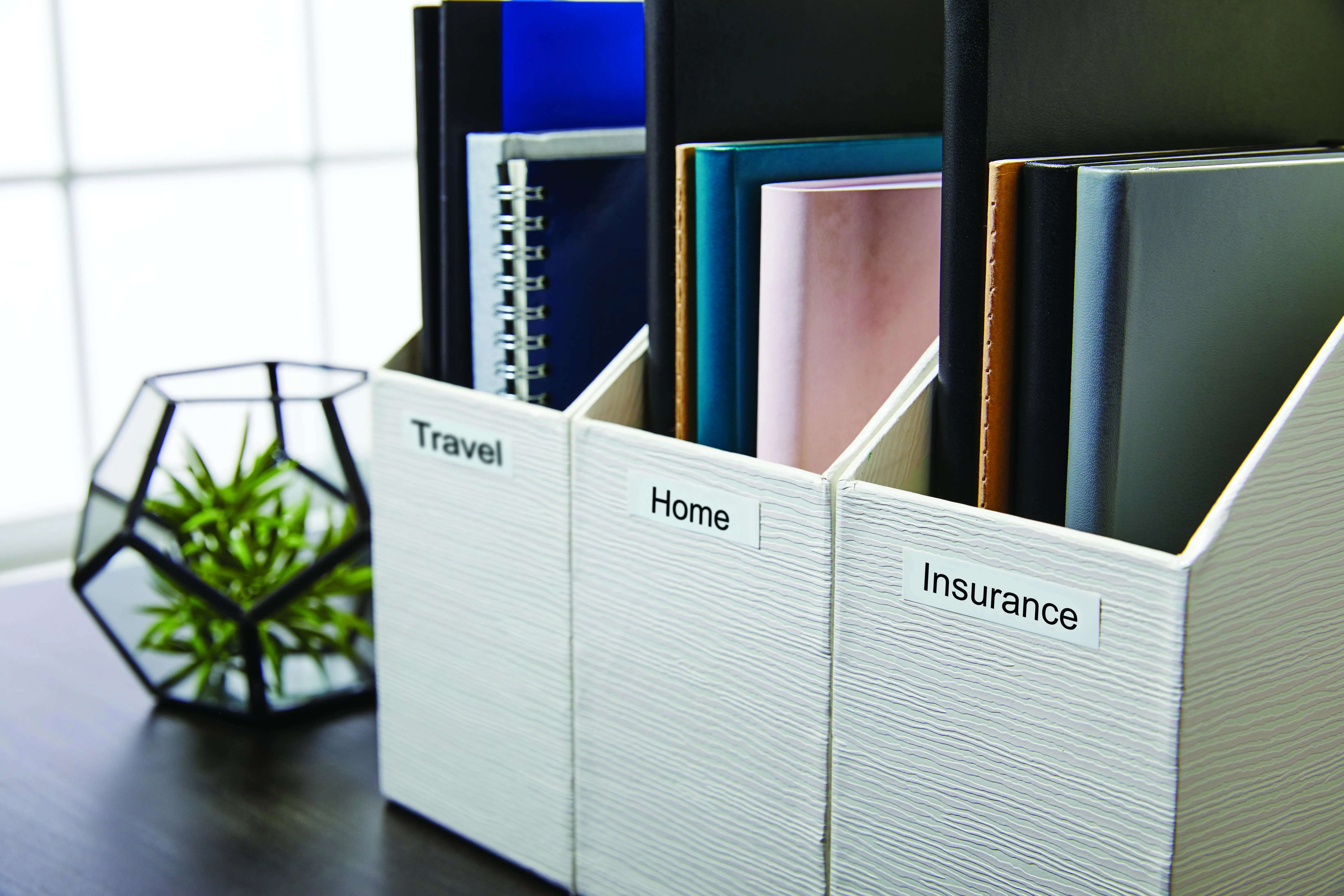 DYMO LabelWriter l&aring;nga etiketter, 59x190mm, 110st