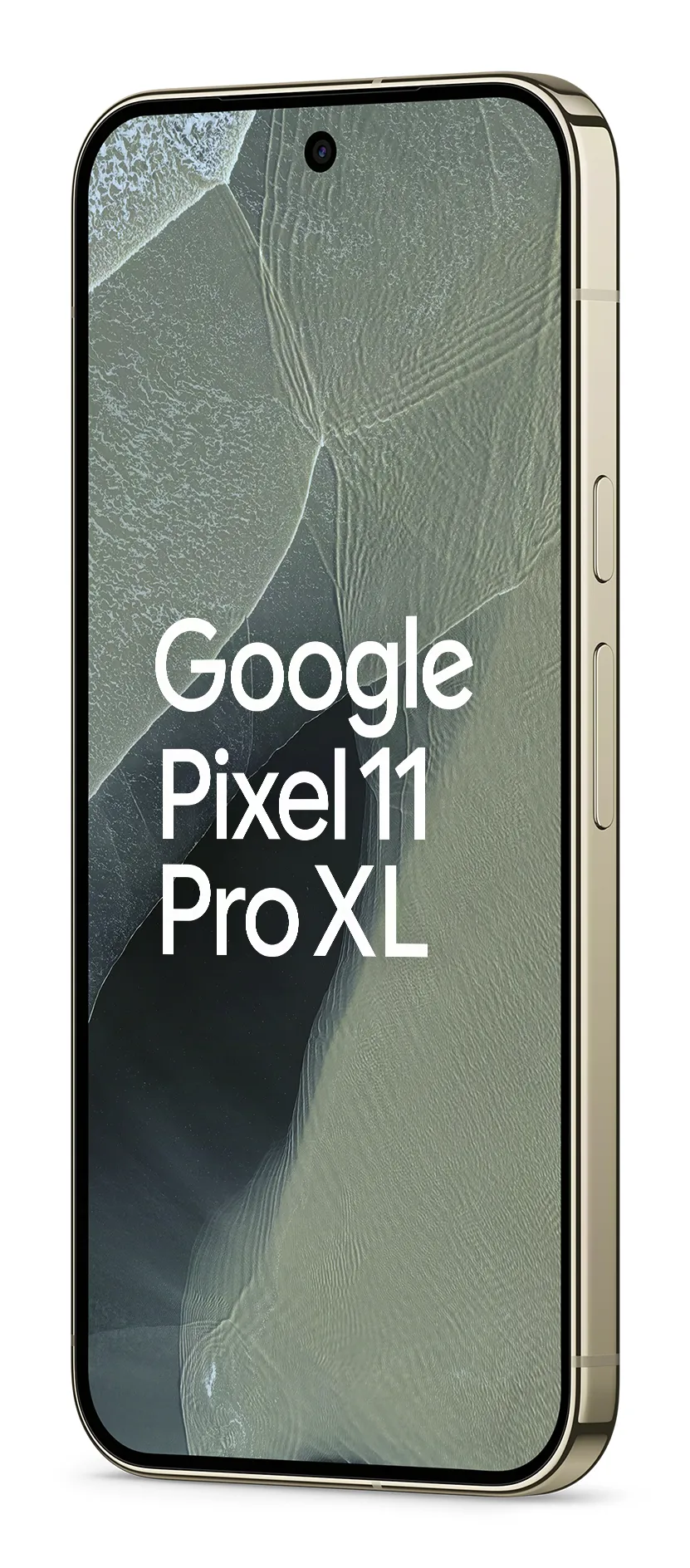 Google Pixel 11 Pro XL 12/256GB, Fog