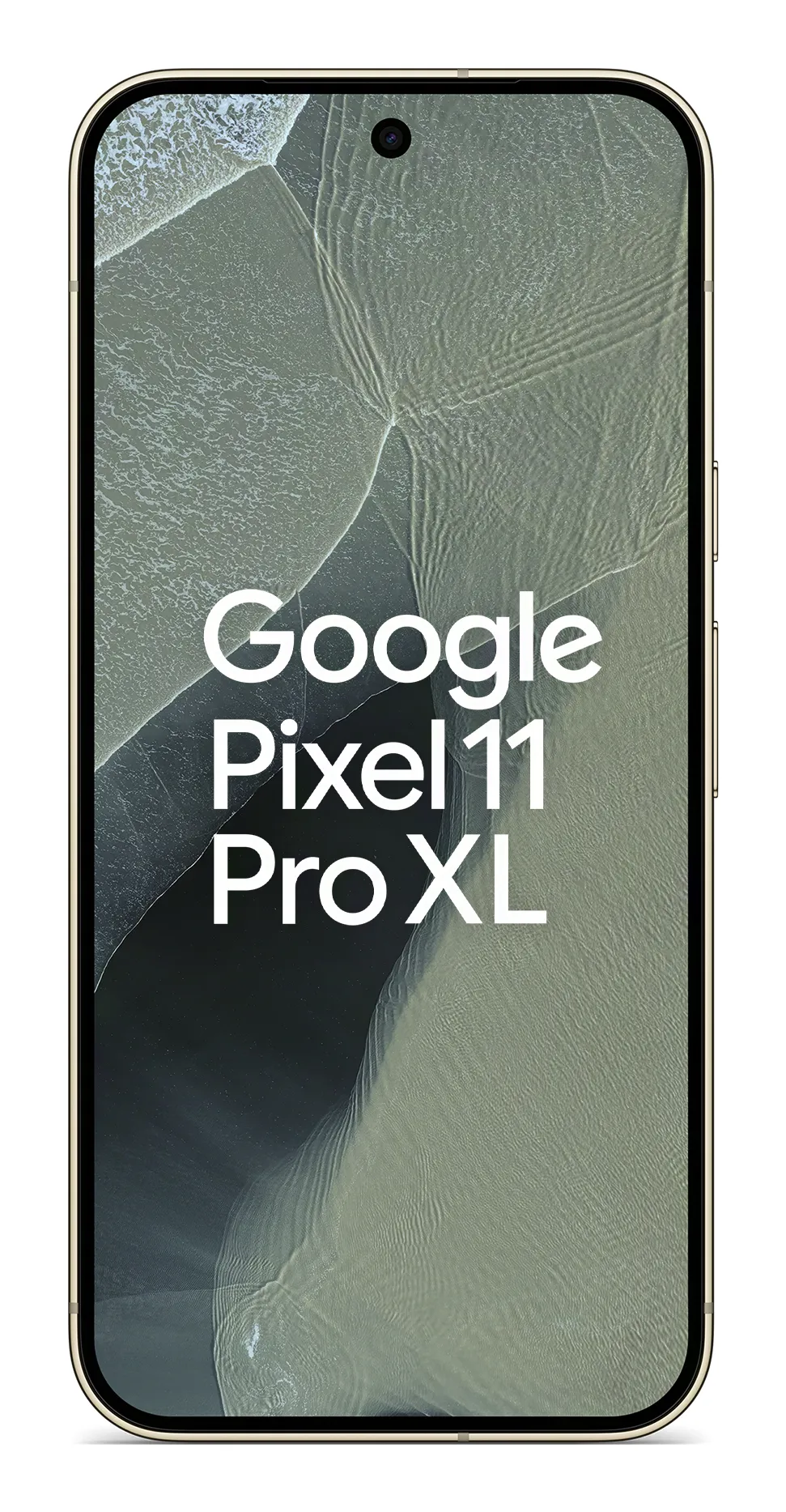 Google Pixel 11 Pro XL 12/256GB, Fog