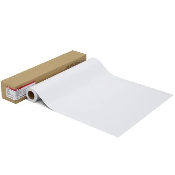 CANON PHOTO PAPER PRO PLATINUM 300 - 17 INCH