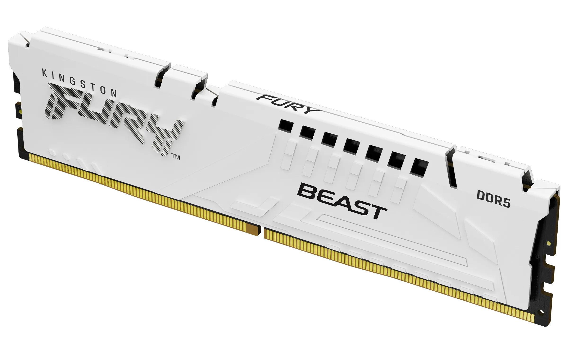 Kingston FURY Beast 64GB (2 x 32GB) DDR5 5600 MHz, CL40 - memory, White (XMP)