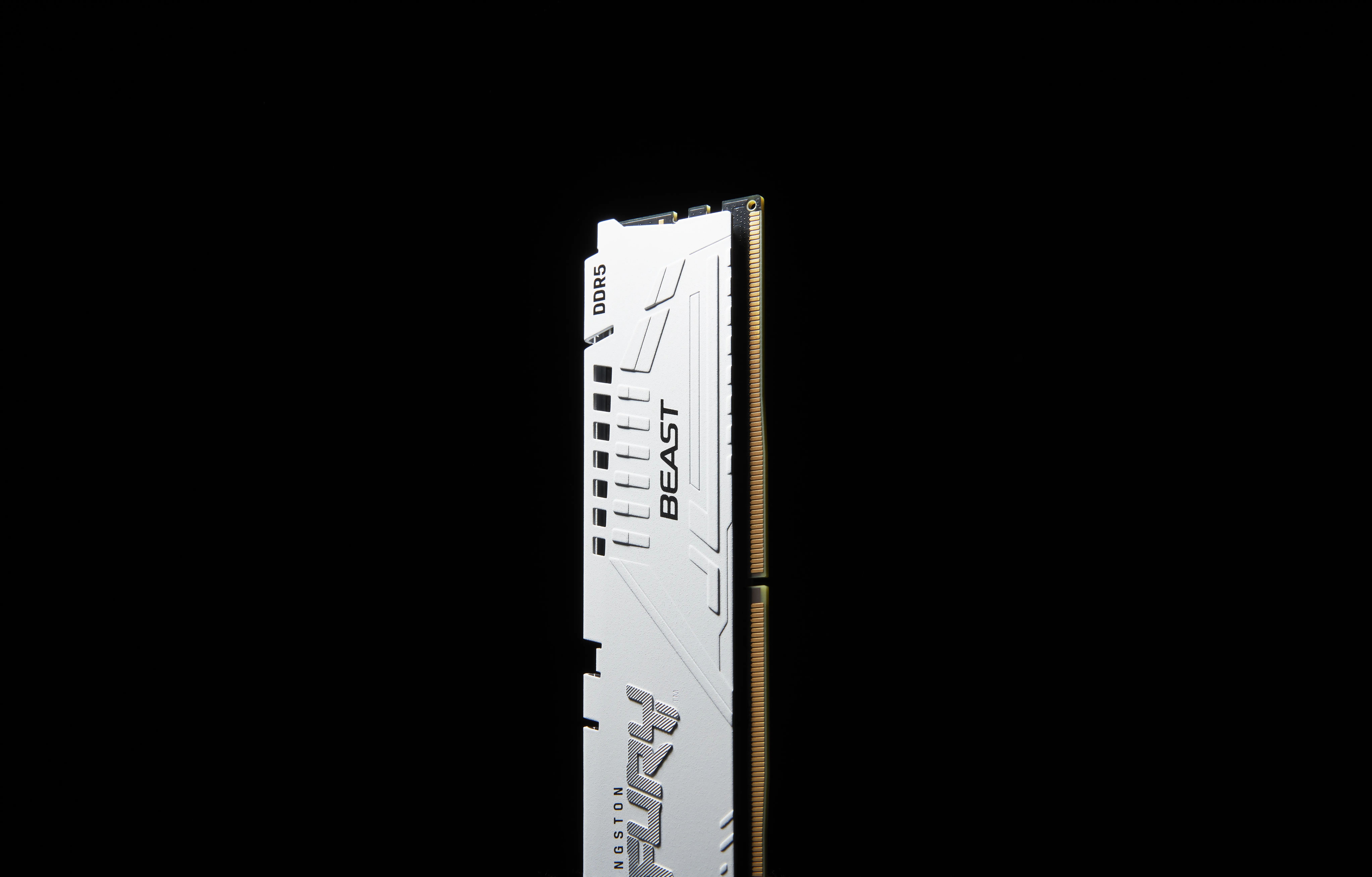 Kingston FURY Beast 64GB (2 x 32GB) DDR5 5600 MHz, CL40 - memory, White (XMP)