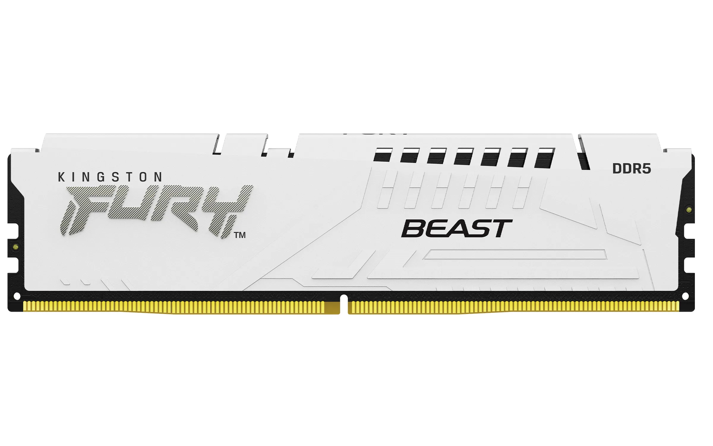 Kingston FURY Beast 64GB (2 x 32GB) DDR5 5600 MHz, CL40 - memory, White (XMP)