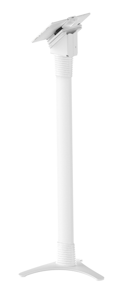 Maclocks Cling 2.0 Universal Tablet Adjustable Security Floor Stand - Teline tuotteelle tabletti - lukittava - korkeatasoinen alumiini - valkoinen -n&auml;yt&ouml;n koko: