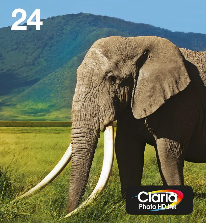 Epson 24 Multipack Easy Mail Packaging - 6 pakettia - 29.1 ml - musta, keltainen, sinivihre&auml;, magenta, vaalea purppura, vaalea sinivihre&auml; - alkuper&auml;inen - laati