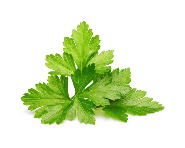 Click and Grow Smart Garden Refill 3-pack - Cilantro/Coriander