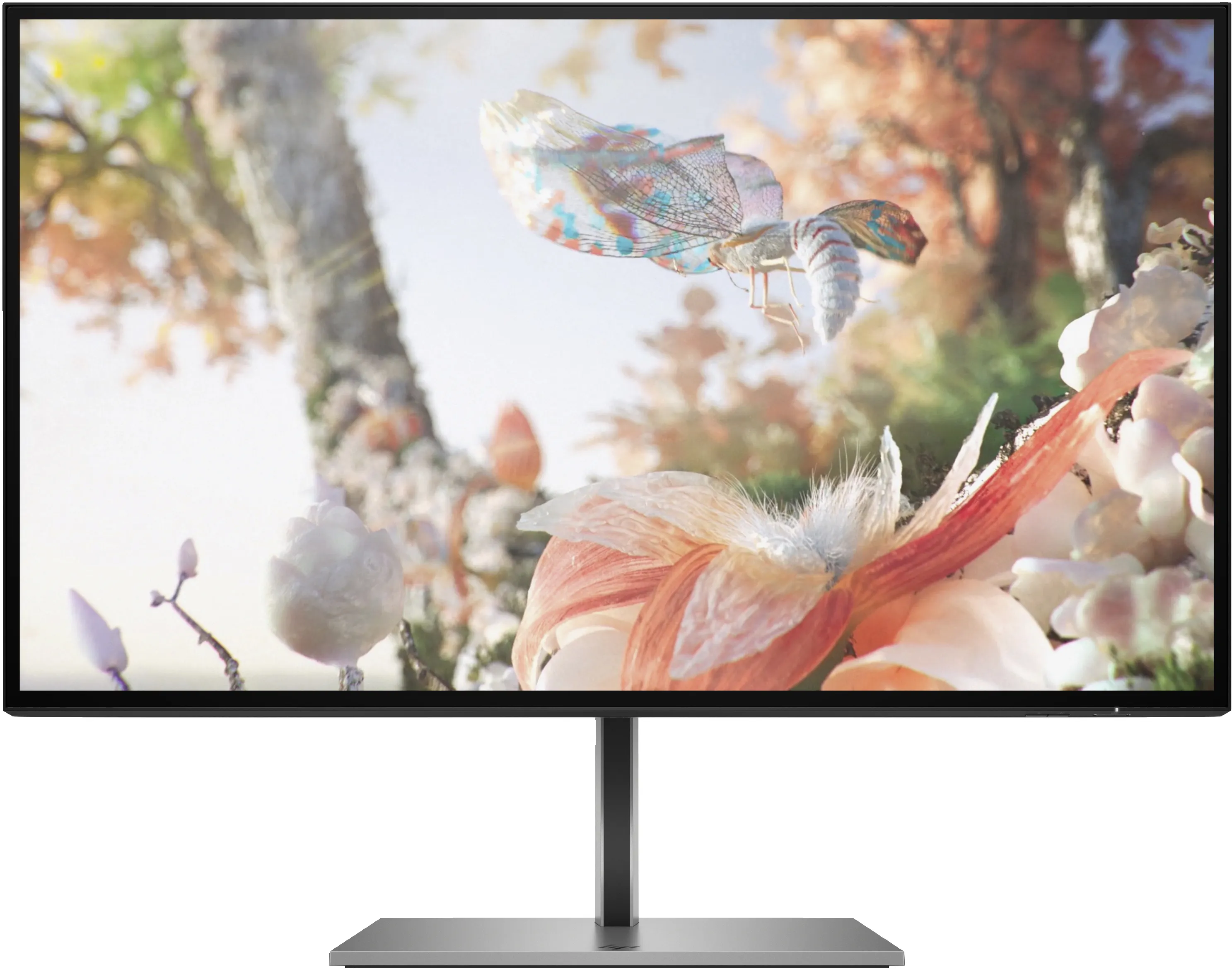 HP 25&quot; Z25xs G3, QHD, USB-C, IPS - monitor