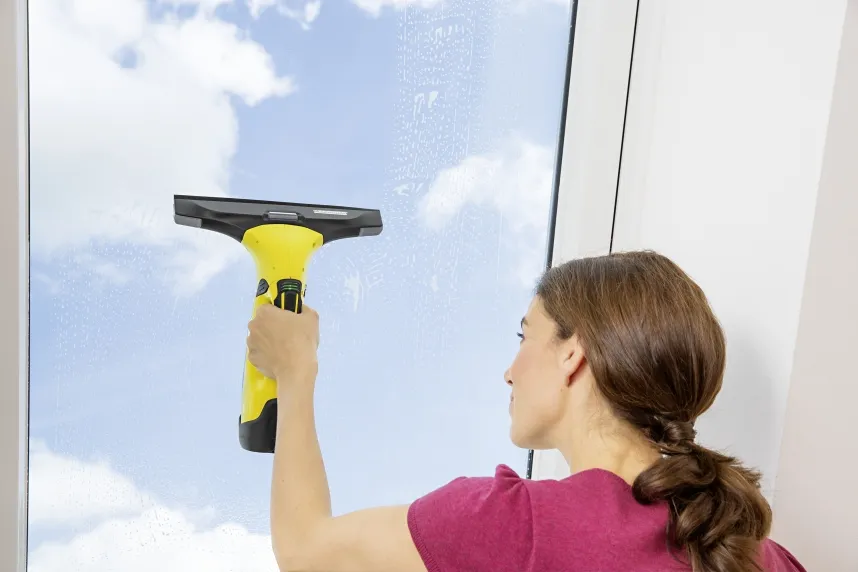 Kärcher WV 5 Premium - window cleaner