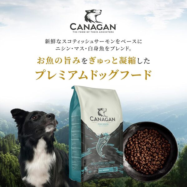 Canagan Scottish Salmon, Dry food for dogs, Puppy & Adult, Grain Free, 6kg