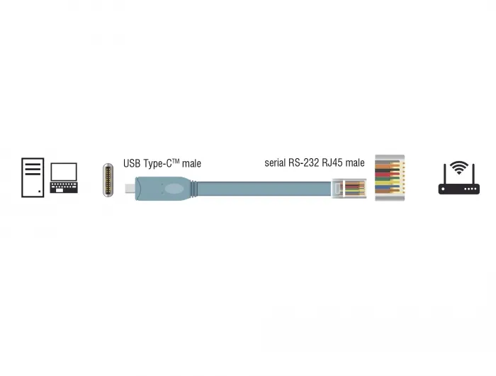 De-Lock 1 m Adapter USB 2.0 Type-C &ndash; RJ45 -kaapeli, Harmaa