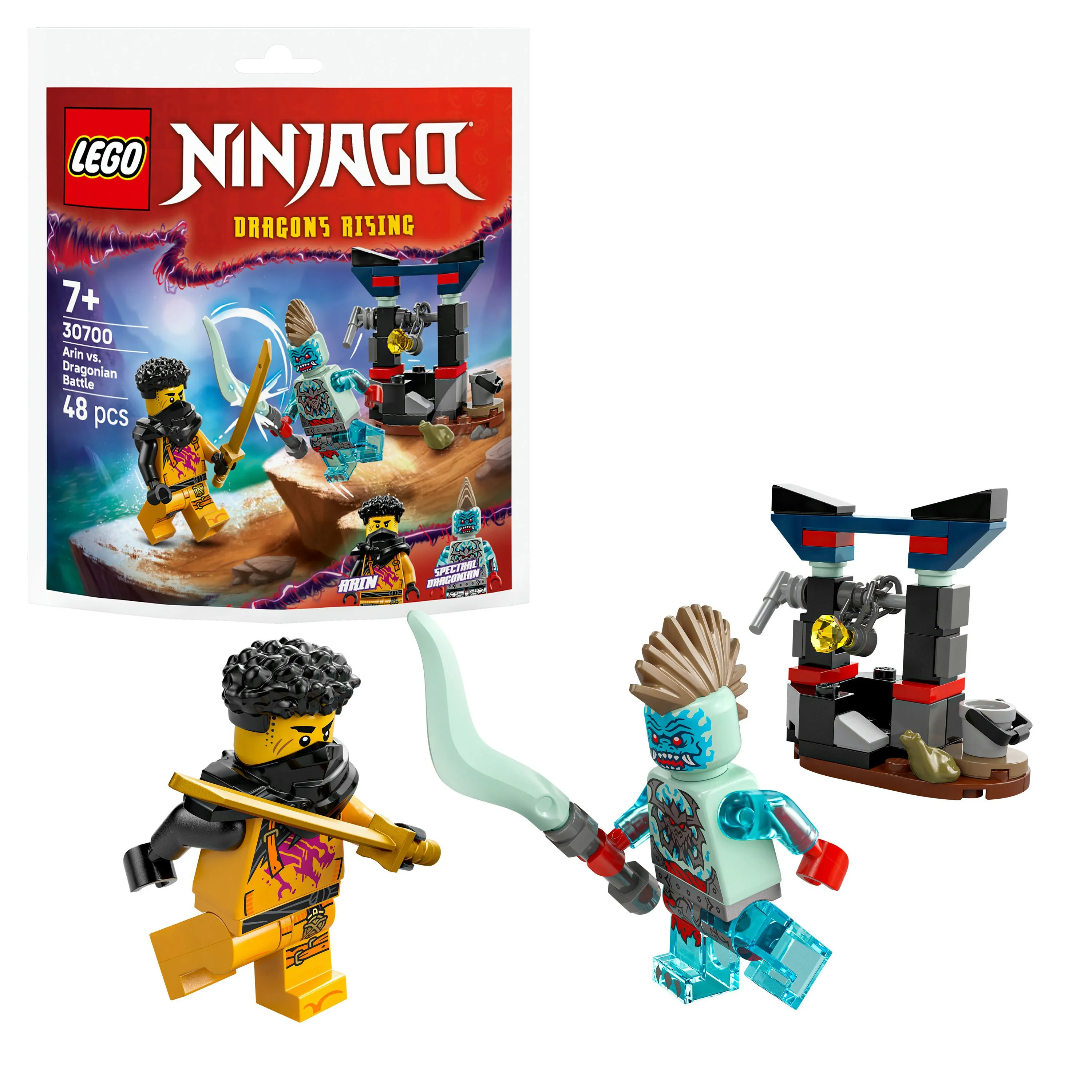LEGO NINJAGO Arinin ja dragonialaisen taistelu 30700