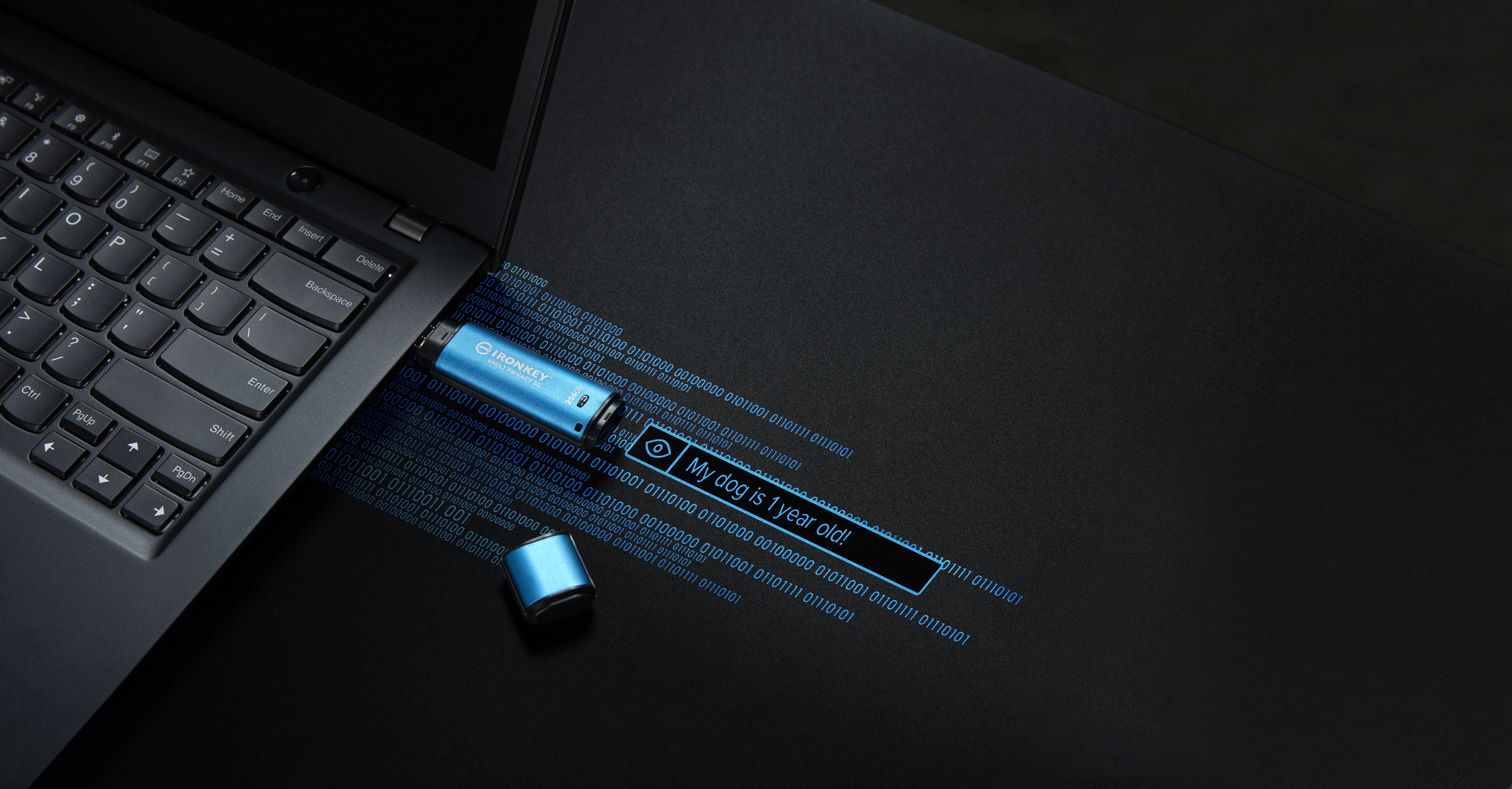 Kingston IronKey Vault Privacy 50 256 Gt USB 3.2 Gen 1x1 -muistitikku, Sininen