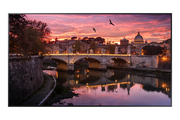Samsung 65&quot; UHD, 16:9, QB65R 350nits