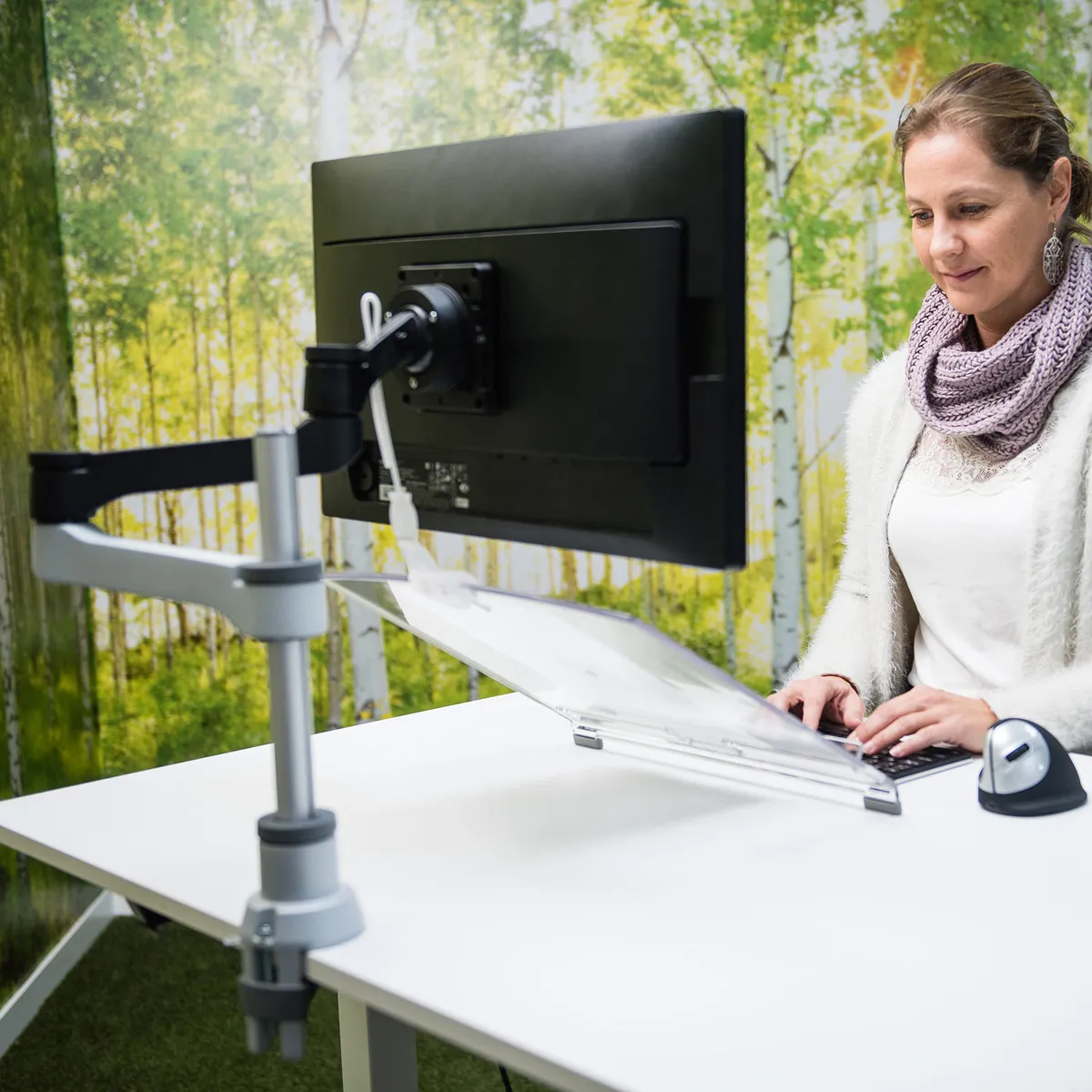 R-Go Morelia Document Holder, adjustable, transparent