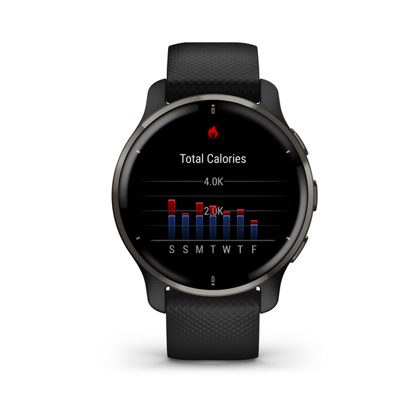 Garmin Venu 2 Plus GPS - smartwatch, Black/Slate