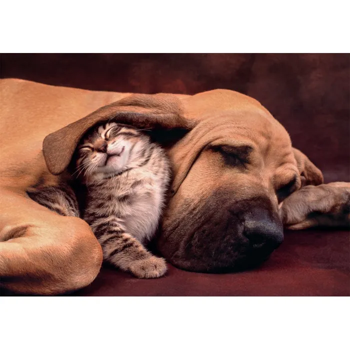 Clementoni High Quality Collection Cuddles - puzzle, 500 pcs