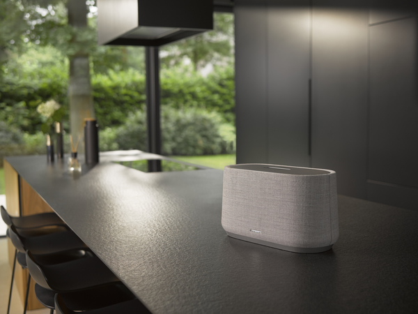Harman Kardon Citation 500 Grey - Speaker