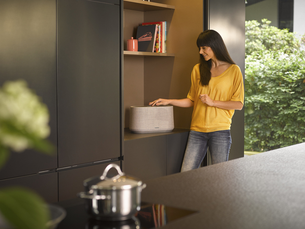Harman Kardon Citation 500 Grey - Speaker