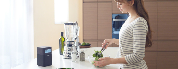 SONY SRFV1BTB premium fm radio with nfc bluetooth