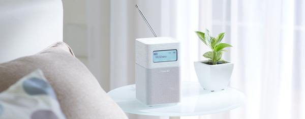 SONY SRFV1BTB premium fm radio with nfc bluetooth