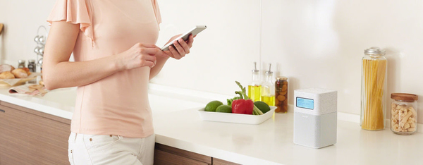 SONY SRFV1BTB premium fm radio with nfc bluetooth