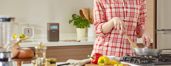 SONY SRFV1BTB premium fm radio with nfc bluetooth