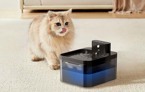 ROJECO RYSJFX-2k Wireless Smart Pet Water Fountain, 2.2 L