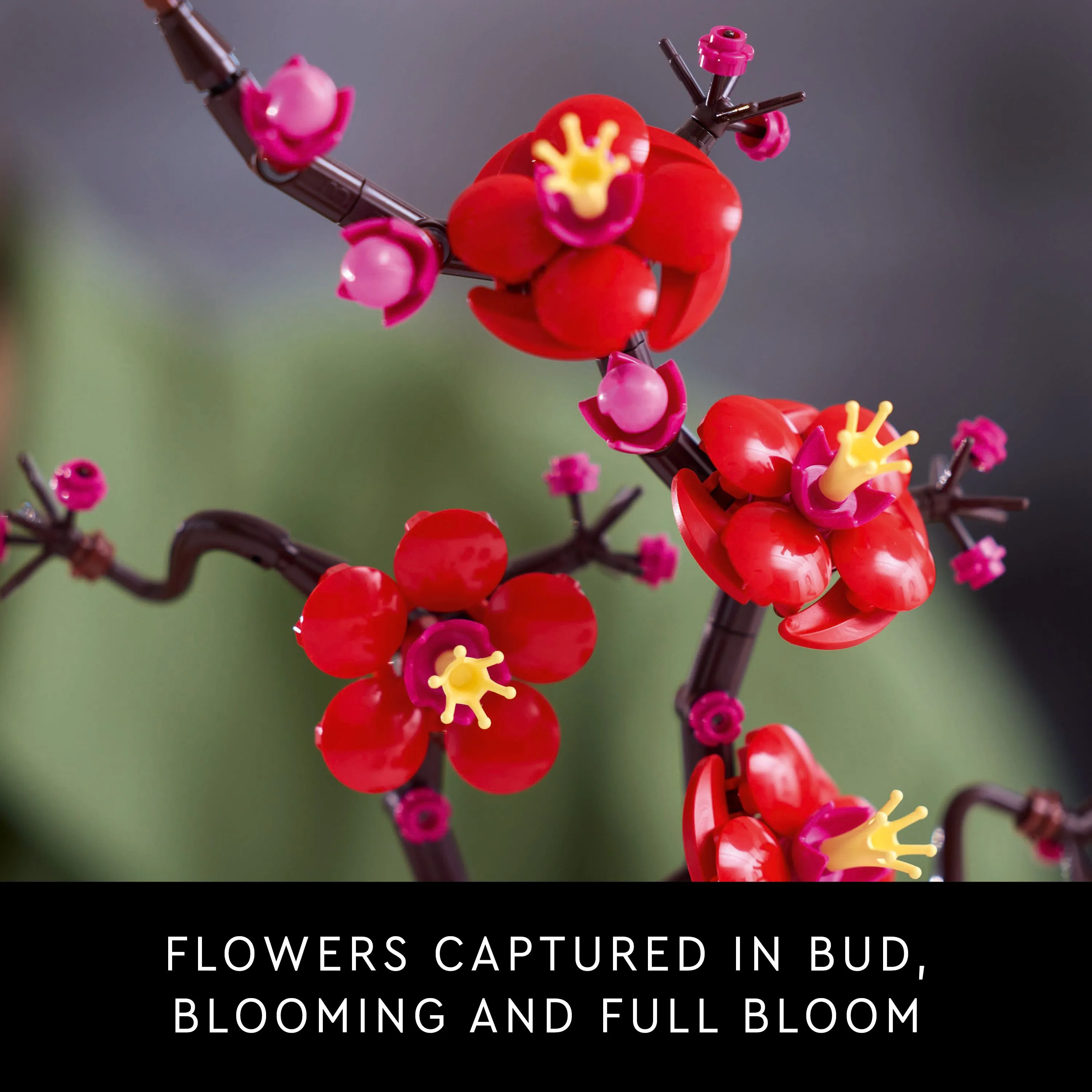 LEGO Botanicals Plommonblomma 10369 LEGO Botanicals Plommonblomma 10369