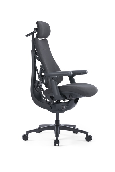 LiberNovo Omni Pro Dynamic - Ergonomisk stol, 48cm Graphite Gray