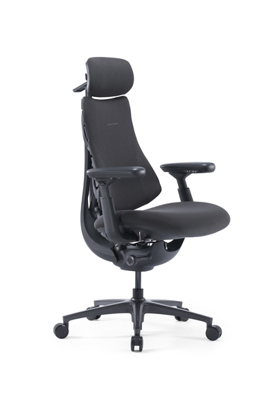 LiberNovo Omni Pro Dynamic - Ergonomisk stol, 48cm Graphite Gray