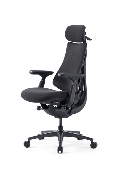 LiberNovo Omni Pro Dynamic Ergonomic Chair - 48cm Graphite Gray
