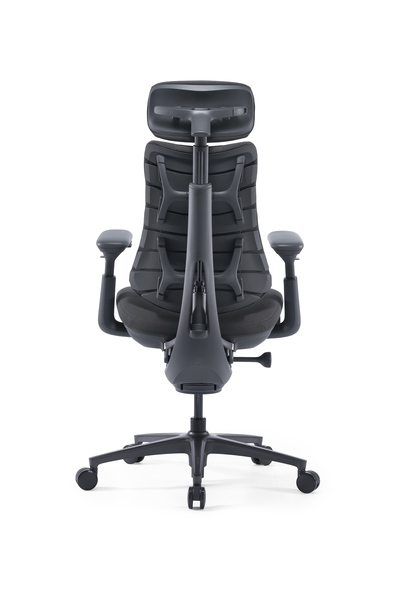 LiberNovo Omni Pro Dynamic Ergonomic Chair - 48cm Graphite Gray