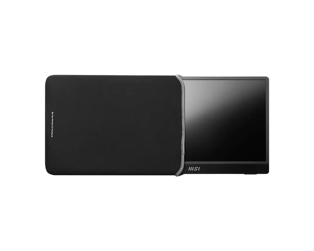MSI 15.6&quot; Pro MP161DE Full HD, IPS - monitor