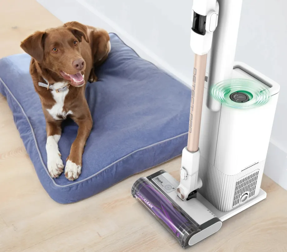 Shark IW3611DE Detect Pro Rechargeable -varsi-imuri, Valkoinen