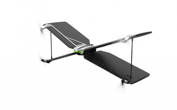 Parrot Swing + Tinos