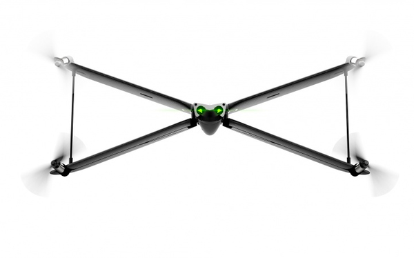 Parrot Swing + Tinos