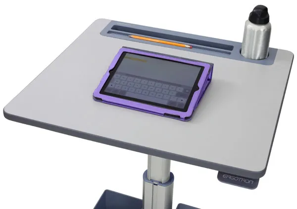 ERGOTRON LearnFit Sit-Stand Desk