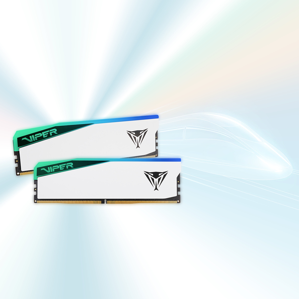 Patriot Viper Elite 5 RGB DDR5 Series DDR5 SDRAM 48GB kit 6000MHz CL42 On-die ECC DIMM 288-PIN