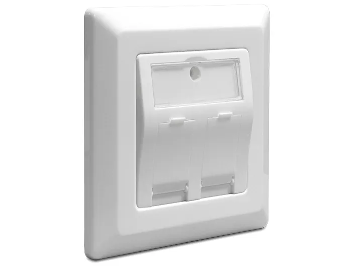 Delock Keystone Wall Outlet 2 Port
