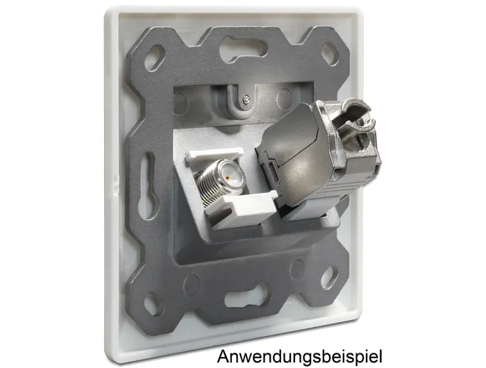 Delock Keystone Wall Outlet 2 Port