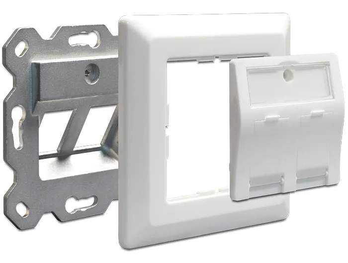 Delock Keystone Wall Outlet 2 Port