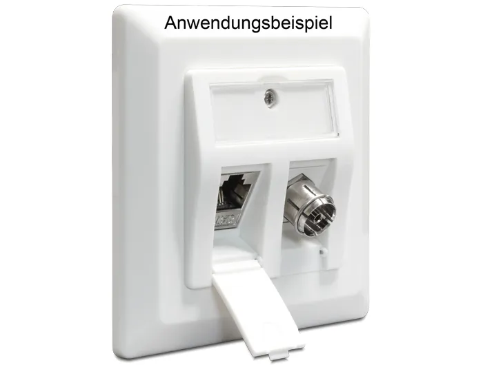Delock Keystone Wall Outlet 2 Port
